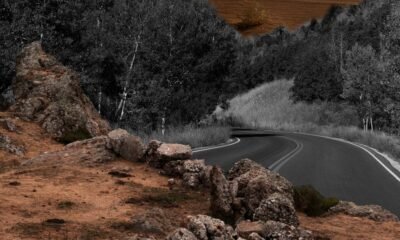 Mysteries of Zuni Road