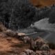 Mysteries of Zuni Road