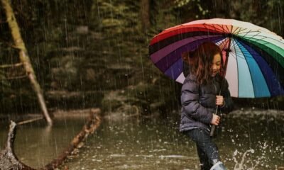 Rainborne Royals