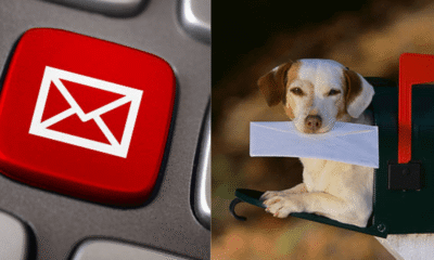 push vs fetch mail