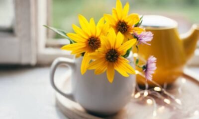 Arnica Tea