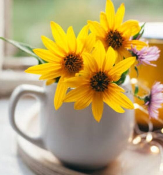 Arnica Tea