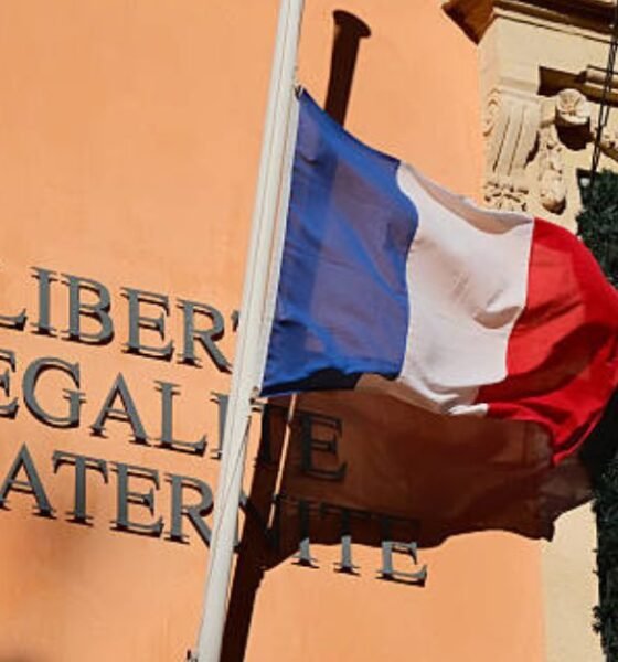 French Flag in French Language