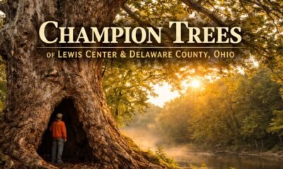 lewis center ohio champion trees