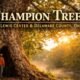 lewis center ohio champion trees