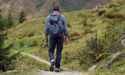 Designing Luxurious Mountain Retreats: Blending Comfort with Nature